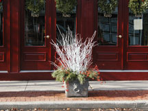 Schlick Design Group - Fall Planter